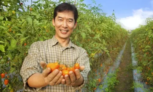 Recrutare muncitori asiatici pentru agricultură: fermieri, legumicultori, tractoristi, horticultori, culegători și personal calificat pentru ferme din România.