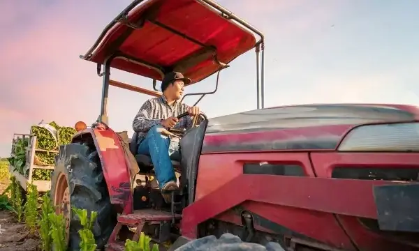 Muncitor asiatic tractorist transportă recolta dintr-un câmp agricol din România.